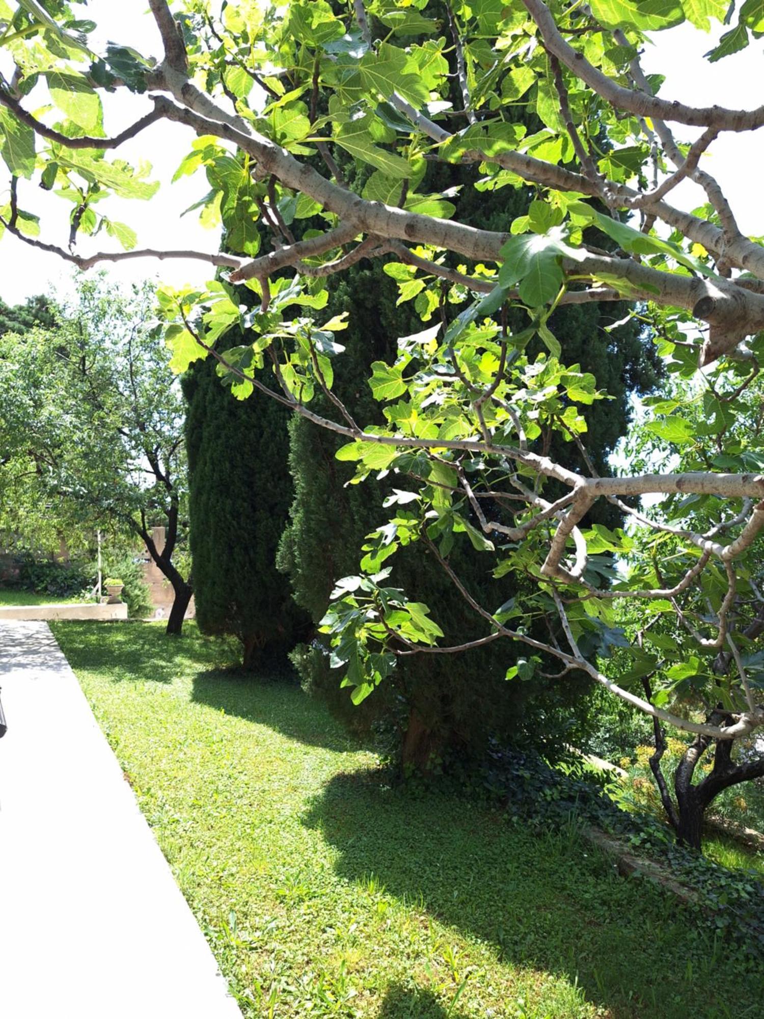 Corina & Franco Apartment Senj  Ngoại thất bức ảnh